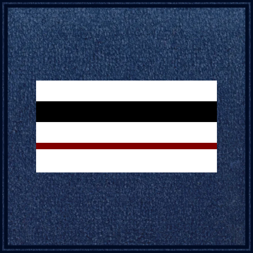 Galon Chef de Police