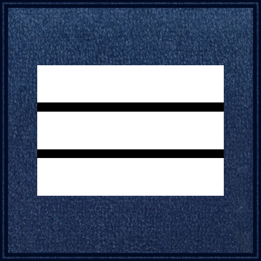 Galon Chef de Service Classe Exeptionelle