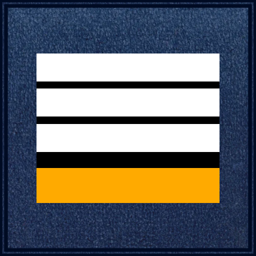 Galon Directeur stagiaire