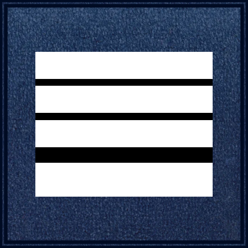 Galon Directeur Général